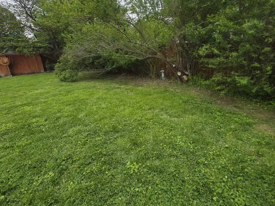 Overgrown back yard before a cleanup